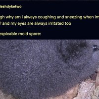 the despicable mold spore meme and post