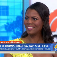 savannah slow down meme and interview clip depicting Omarosa Manigault Newman.