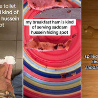 Saddam Hussein Hiding Spot lookalike memes from tiktok.