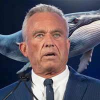 RFK Jr. Whale meme explained.