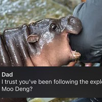 I trust you've been following the exploits of moo deng