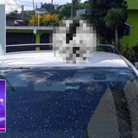 Mexican Mayor Alejandro Arcos Beheading image censored.