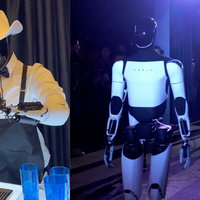 Tesla Optimus Robot Tesla Optimus Robot image examples.