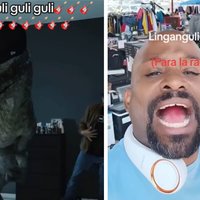 Linganguli Guli Guli Racha / Ging Gang Guli (Don Pollo Sound) Linganguli Guli Guli Racha meme examples