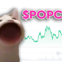 Popcat SOL Meme Coin image example.
