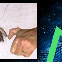 Goatseus Maximus GOAT coin image example.