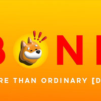 Bonk Meme Coin logo.