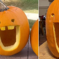 Dumb Ahh Pumpkin meme.
