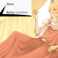 sporus occupation slave meme