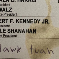 Write In Vote Hawk Tuah Girl for President meme and image example.
