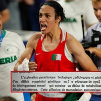 Imane Khelif Medical Report Leak Imane Khelif Medical Report Leak image examples.