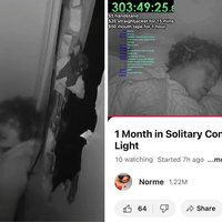 Norme Solitary Confinement Livestream image examples.