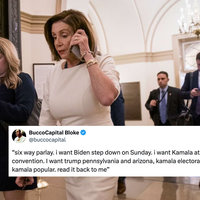 Nancy Pelosi On The Phone meme.