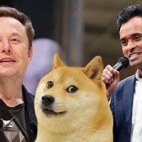 Department of Government Efficiency DOGE image example depicting the meme, Elon Musk and Vivek Ramaswamy.