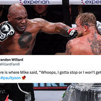 Jake Paul Mike Tyson Rigged Fight Conspiracy Theory example image.