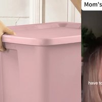 Pink Tote lid tiktok trend example images.