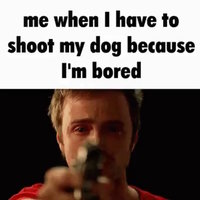 Me When I Have to Shoot My Dog Because I'm Bored meme example.