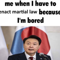 2024 South Korea Martial Law Declaration meme example.