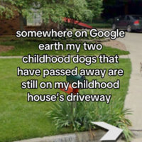 Google Earth TikTok Trend example image.