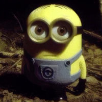 Minion Staring in the Forest meme