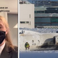 Delta Air Lines / Endeavor Air DEI Pilots Controversy image examples.