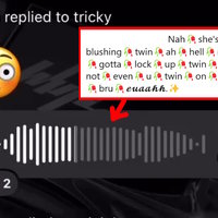 Nah She Got You Blushing Twin meme example.