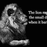 The Lion Rapes the Small Dog When It Barks meme.