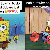 Pagani and Subaru spongebob and patrick meme examples.