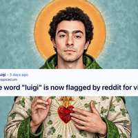 Reddit's "Luigi" Ban Reddit Luigi Ban image example.