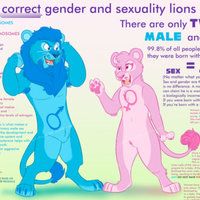 Correct Gender And Sexuality Lions