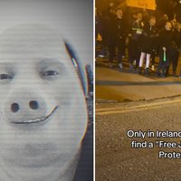 Two examples of free john pork memes.