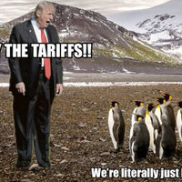 Donald Trump Penguin Tariffs meme example.
