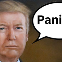 Panican meme example depicting Donald Trump.