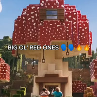 Big Ol Red Ones minecraft movie meme example image.