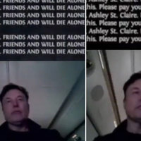 Screenshots of Elon Musk Getting Cyberbullied on Stream while playing path of exile 2 in April 2025.