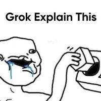 Grok Explain This Grok Explain This meme example.