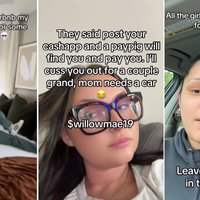 Paypig TikTok image examples.