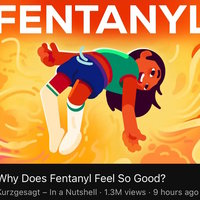 Why Does Fentanyl Feel So Good Kurzgesagt youtube thumbnail image.