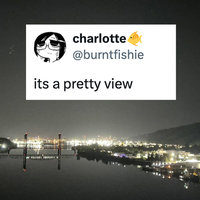 Charlotte Fosgate "It's a Pretty View" Tweet and Suicide