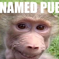 Kid Named Pubert meme.