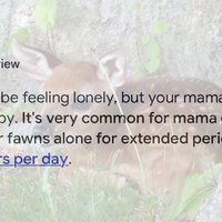 Where Is Mama AI Overviews image example.