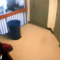 Jeffrey Epstein CCTV Footage Missing Minute image example from camera.