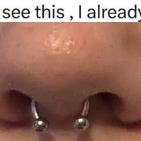 Septum piercing Theory image and meme example.