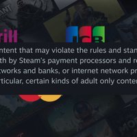 Steam Payment Processor Update / Collective Shout Controversy Steam Payment Processor Update / Collective Shout Controversy image examples.