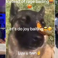 Joybaiting / Joy Bait Joybaiting / Joy Bait