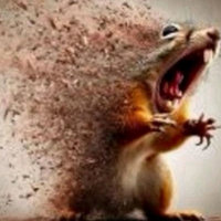 Disintegrating Squirrel meme