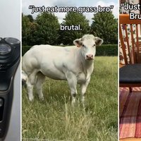 Just X Brutal meme examples from tiktok.