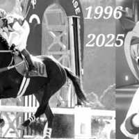 The Death of Haru Urara Death of Haru Urara image example of the horse and the Uma Musume character.