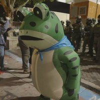 Portland Frog image example.