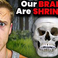 Our Brains Are Shrinking meme.